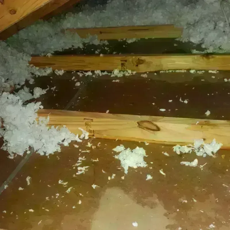 Attic Water Damage in Winchester, IN