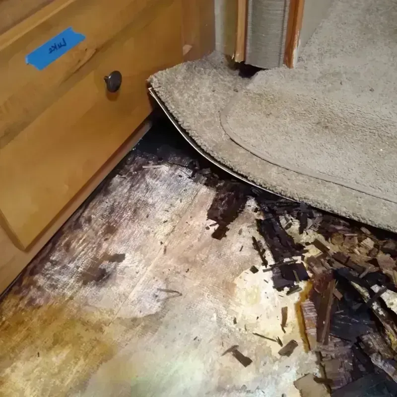 Best Wood Floor Water Damage Service in Winchester, IN